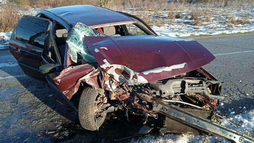 В Славском районе девушка за рулём Volkswagen врезалась в придорожное дерево   - Новости Калининграда | Фото: пресс-служба региональной ГИБДД