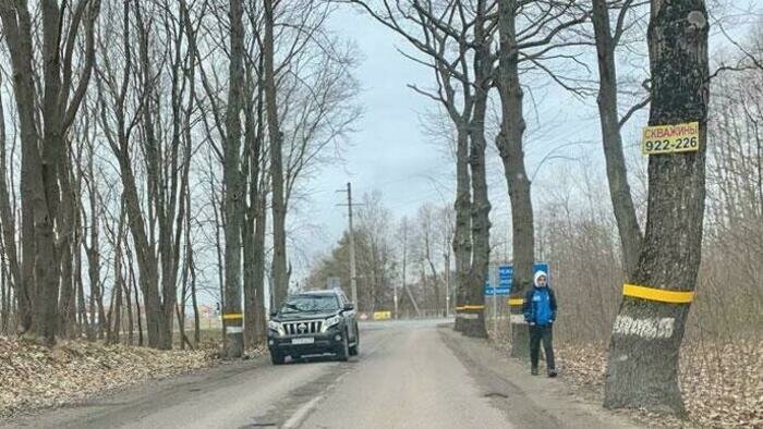Идти от дома до трассы приходится по обочине – тротуаров и освещения нет | Фото: Александр Мелехов