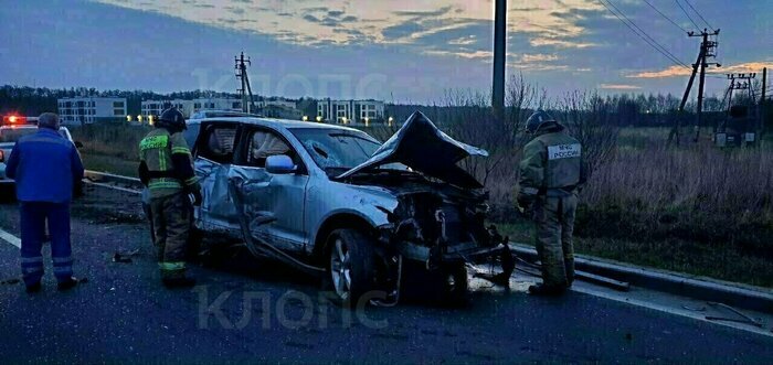 Вылеченная собака-алкоголик, истекавший кровью мужчина и празднование Дня селёдки: 10 событий, которые обсуждали в выходные - Новости Калининграда | Фото: очевидец