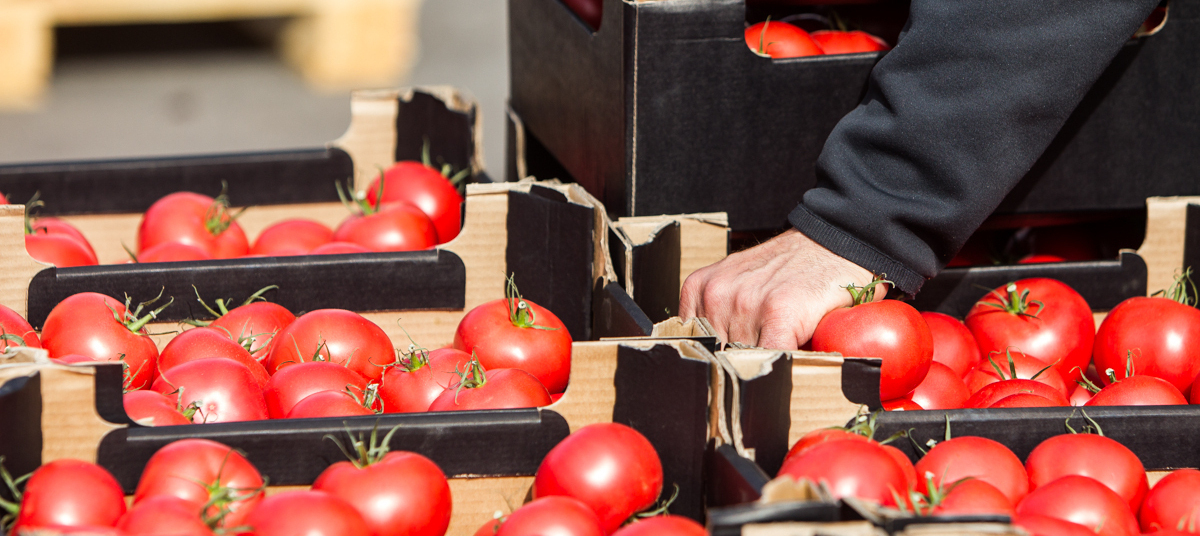 Чеснок, зелёный чай и помидоры: названы продукты, которые защитят от онкологии