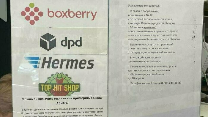 Поправки в законы, прямая линия Алиханова и проблемы с посылками: 13 событий, которые обсуждали на неделе  - Новости Калининграда | Фото: «Клопс»
