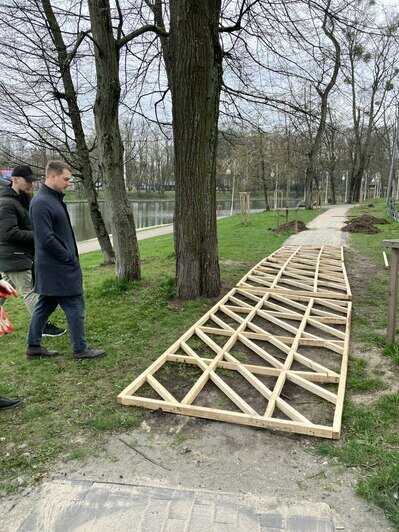 «Нестандартное решение»: на Верхнеозёрной устанавливают деревянный настил для сохранения корней деревьев (фото) - Новости Калининграда | Фото: пресс-служба администрации Калининграда