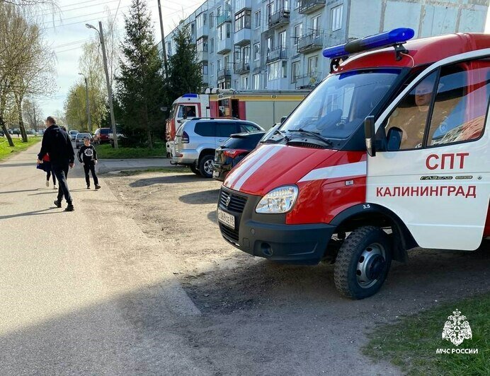 В Гурьевске во время пожара в пятиэтажке погиб человек - Новости Калининграда | Фото: пресс-служба МЧС региона