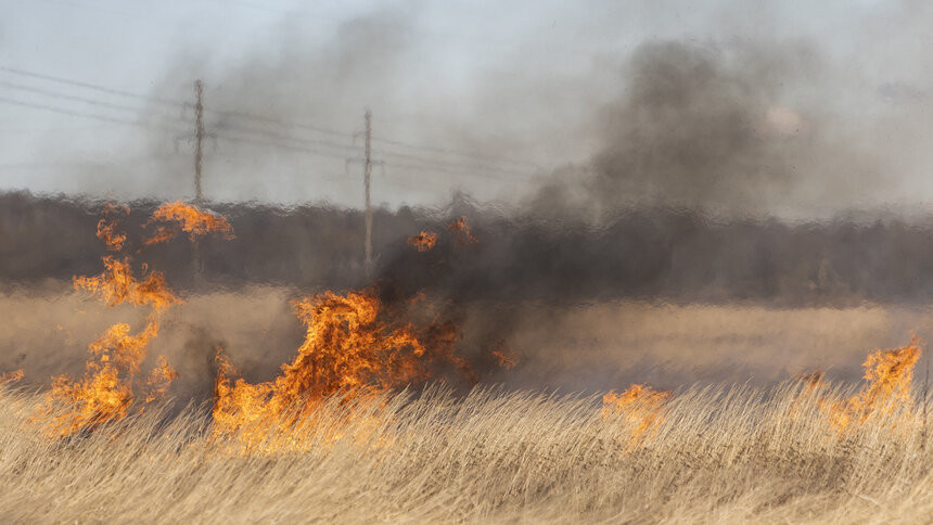 МЧС: пожар в посёлке Сосьва произошёл из-за неправильного сжигания опилок  - Новости Калининграда | Александр Подгорчук / Архив Клопс