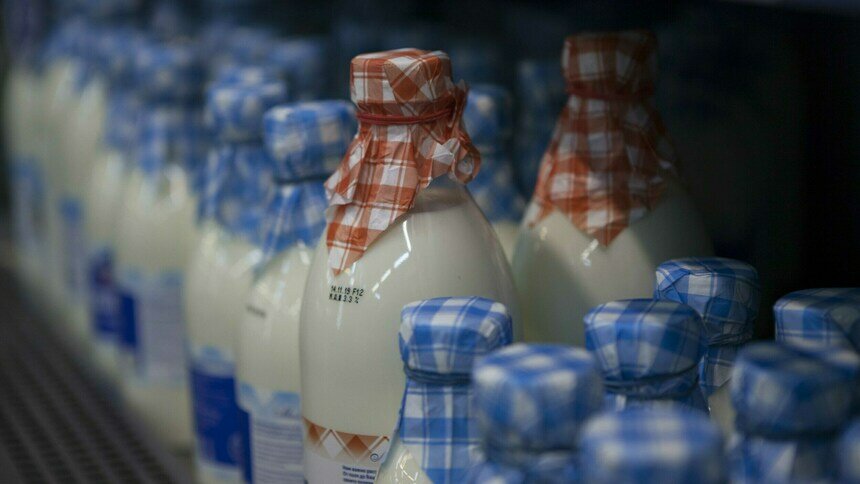 В России хотят увеличить шрифт на продуктовых упаковках - Новости Калининграда
