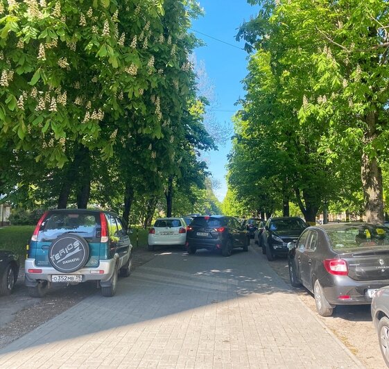 В центре Калининграда начали закрывать народную парковку на тротуаре (фото) - Новости Калининграда