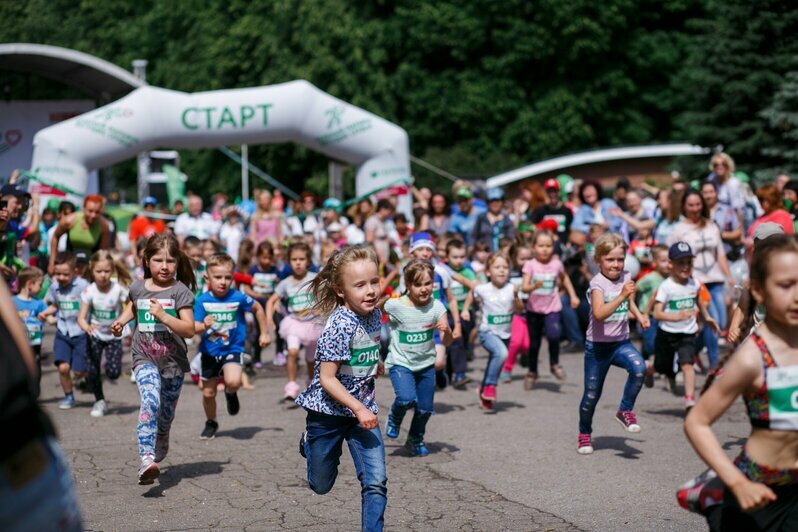 20 мая в Южном парке пройдёт «Зелёный марафон» - Новости Калининграда