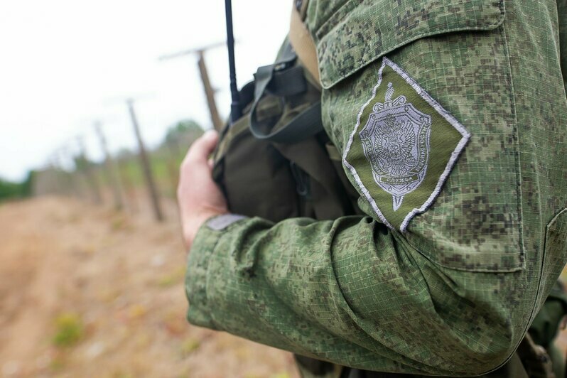 В Калининградской области прошли соревнования по многоборью кинологов (фоторепортаж)  - Новости Калининграда | Фото: Александр Подгорчук / «Клопс»