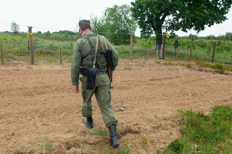 В Калининградской области прошли соревнования по многоборью кинологов (фоторепортаж)  - Новости Калининграда | Фото: Александр Подгорчук / «Клопс»