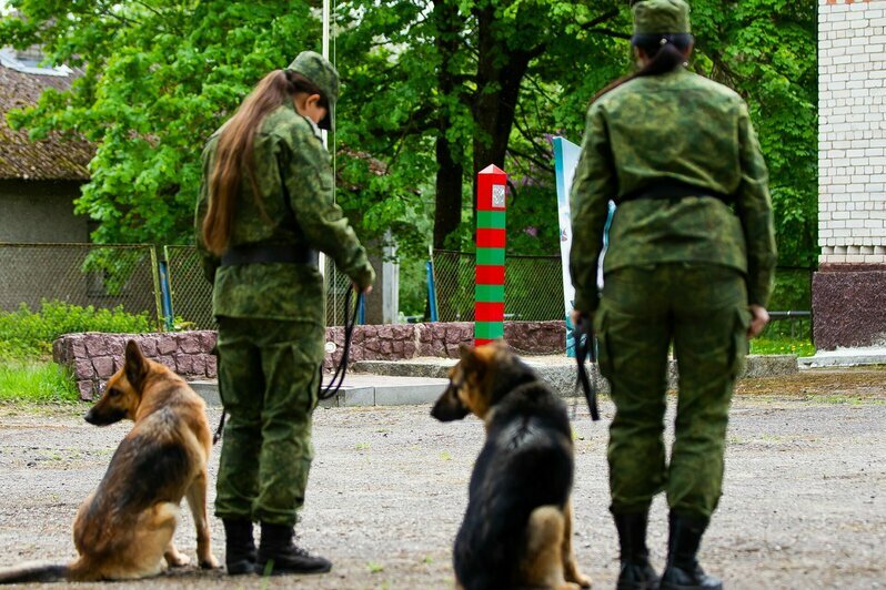 В Калининградской области прошли соревнования по многоборью кинологов (фоторепортаж)  - Новости Калининграда | Фото: Александр Подгорчук / «Клопс»