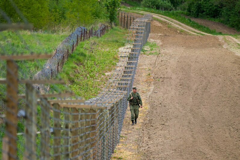 В Калининградской области прошли соревнования по многоборью кинологов (фоторепортаж)  - Новости Калининграда | Фото: Александр Подгорчук / «Клопс»