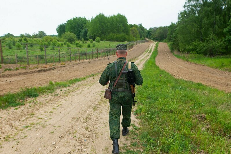 В Калининградской области прошли соревнования по многоборью кинологов (фоторепортаж)  - Новости Калининграда | Фото: Александр Подгорчук / «Клопс»