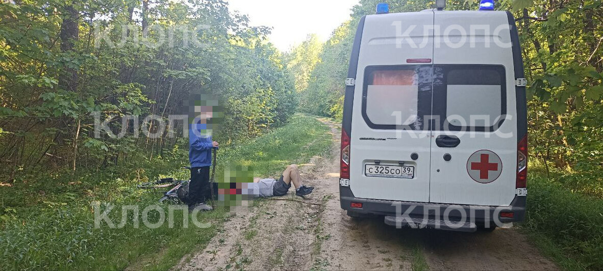 В лесу под Зеленоградском 42-летний учитель катался на велосипеде с семиклассником и сломал ключицу   - Новости Калининграда | Фото: Очевидец