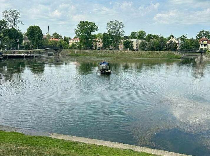 Ил, водоросли и мусор: в Калининграде очистят пруд Поплавок (фото) - Новости Калининграда | Фото: пресс-служба прокуратуры Калининградской области