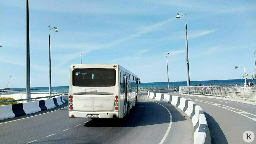 Долгожданный автобус из Светлогорска в Пионерский пустили вдоль полей и кладбища без заезда в новый микрорайон  - Новости Калининграда | Фото читателя