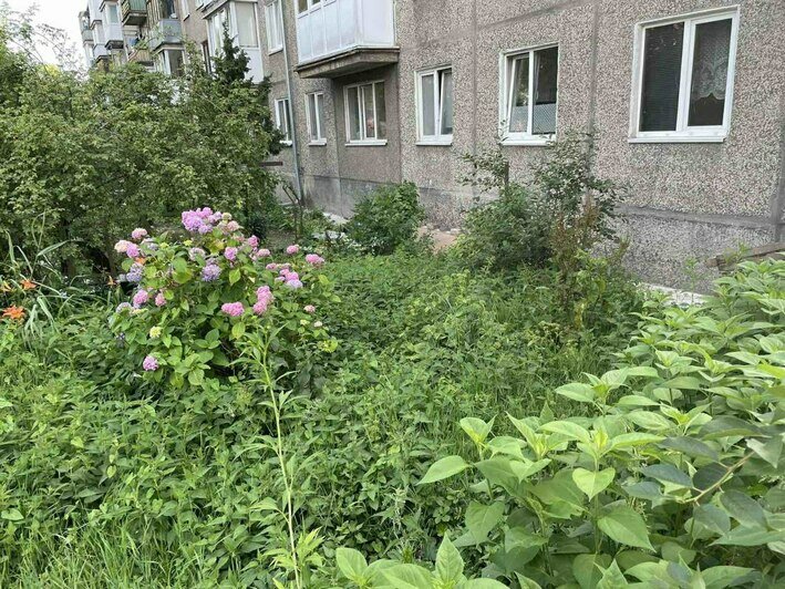 У ребёнка травмы шеи  | Фото предоставила мама пострадавшей девочки