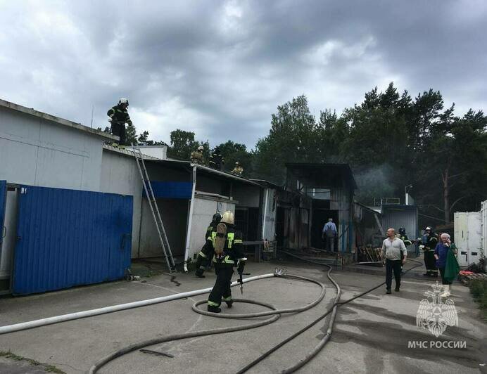 В Светлом загорелся цех по копчению рыбы - Новости Калининграда | Фото: пресс-служба МЧС региона