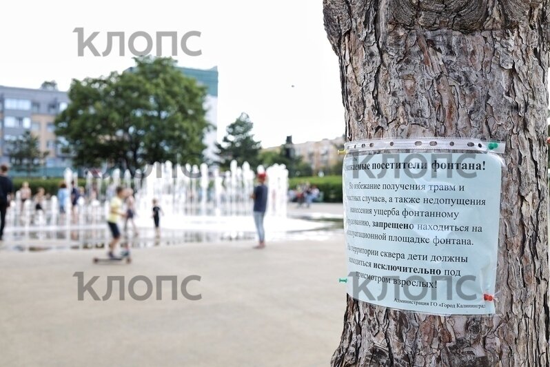 В сквере у поющего фонтана повесили объявления о запрете купания | Фото: Александр Подгорчук / «Клопс»