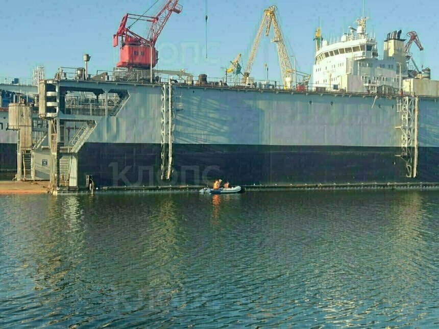 Тело женщины обнаружили волонтёры  | Фото: ПСО «Запад» 