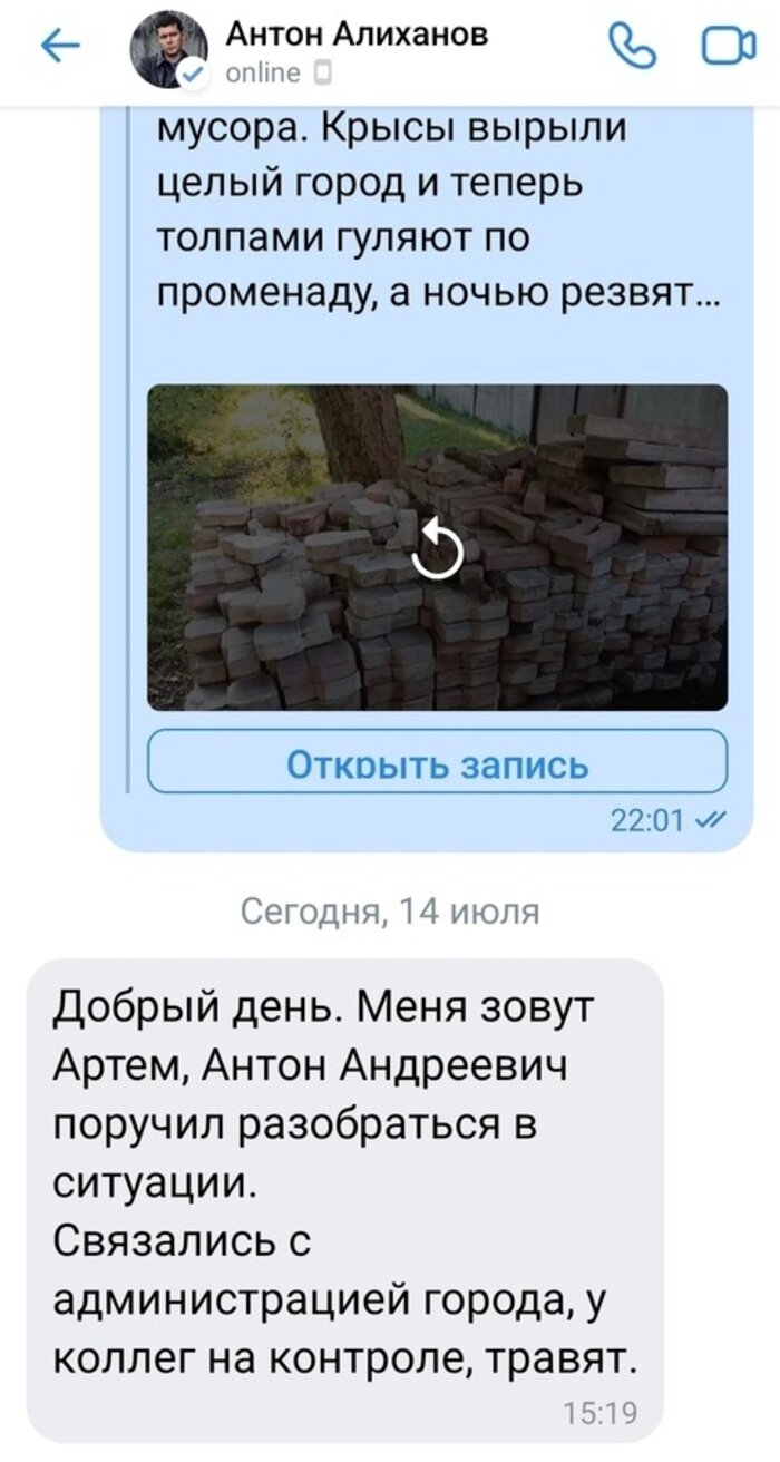 «Мамашка ходила с большим животом»: крысы стали соседями жителей престижных таунхаусов на Береговой - Новости Калининграда | Скриншот предоставила Наталья