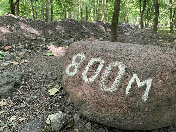 «Как на стройке, ей-богу»: что происходит в Макс Ашманн-парке (фоторепортаж) - Новости Калининграда | Фото: Денис Шелеметьев / «Клопс»