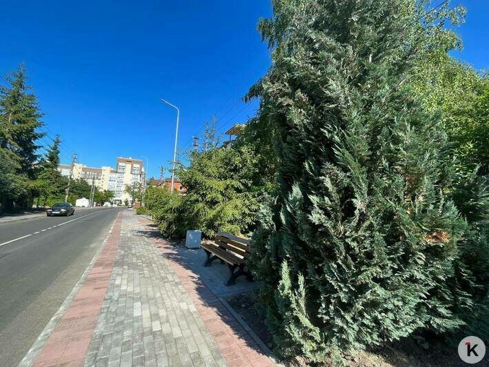 На Сельме построили новую дорогу (фоторепортаж) - Новости Калининграда | Фото: «Клопс»