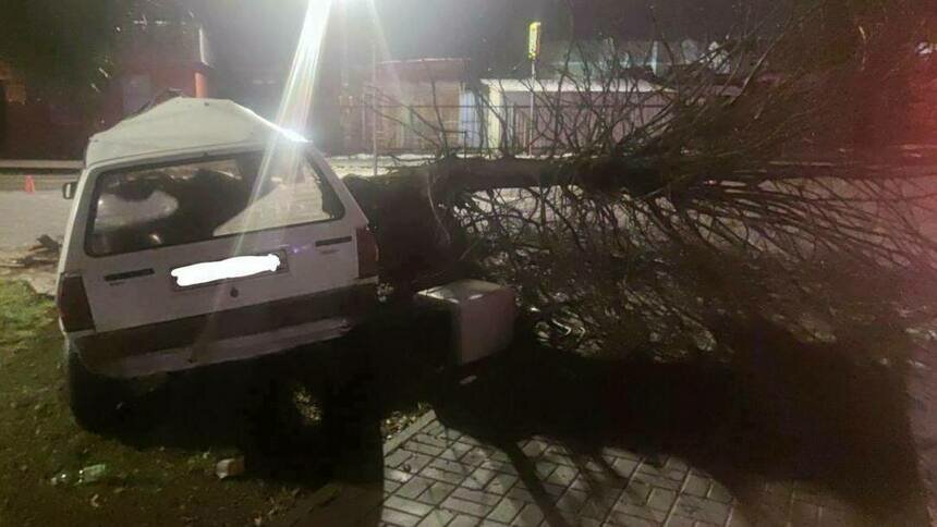 Виновен в травмах пассажира: водителю из Полесска, который пьяным вылетел с трассы и снёс дерево, грозит срок - Новости Калининграда | Фото: пресс-служба регионального УМВД