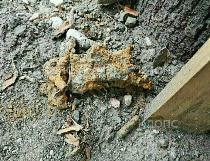 При реконструкции улицы Красной нашли кости и гильзы (фото) - Новости Калининграда