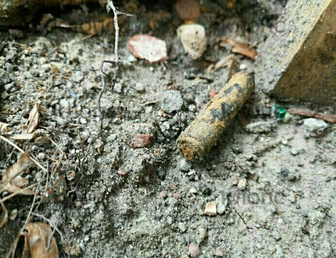 При реконструкции улицы Красной нашли кости и гильзы (фото) - Новости Калининграда