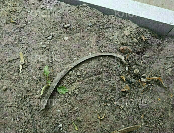 При реконструкции улицы Красной нашли кости и гильзы (фото) - Новости Калининграда