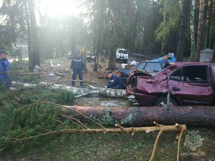 Атаки беспилотников в центре Москвы и утопленник в Верхнем озере: 9 ЧП и звёздный дождь в выходные - Новости Калининграда | Фото: пресс-служба МЧС России