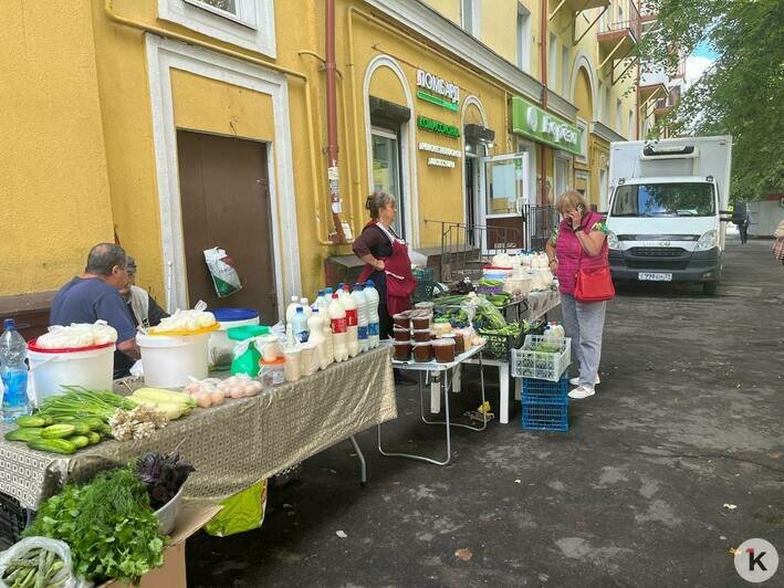 В Калининграде нелегалы готовы платить штрафы, лишь бы торговать в бойком месте: фоторепортаж с Киевской - Новости Калининграда | Фото: «Клопс»