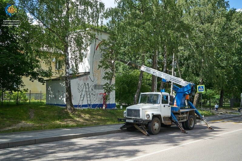 «Добрый молодец Иванушка»: в Светлогорске украшают ещё одну трансформаторную будку (фото)       - Новости Калининграда | Фото: администрация Светлогорского городского округа