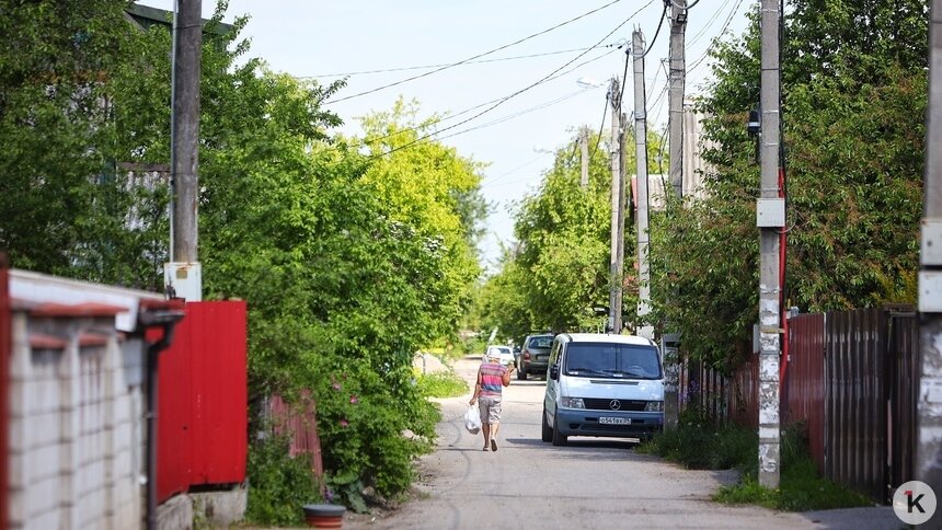 СНТ &quot;Колосок&quot; | Фото: Александр Подгорчук / Архив «Клопс»