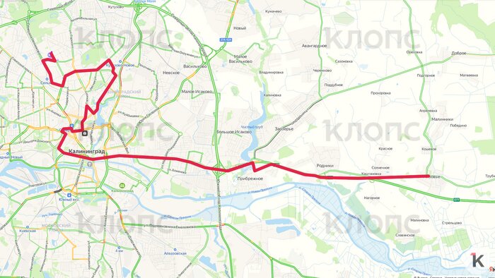 В сентябре в Калининграде появится новый автобусный маршрут, часть других изменят: схемы движения - Новости Калининграда | Иллюстрация: Александр Скачко / «Клопс»