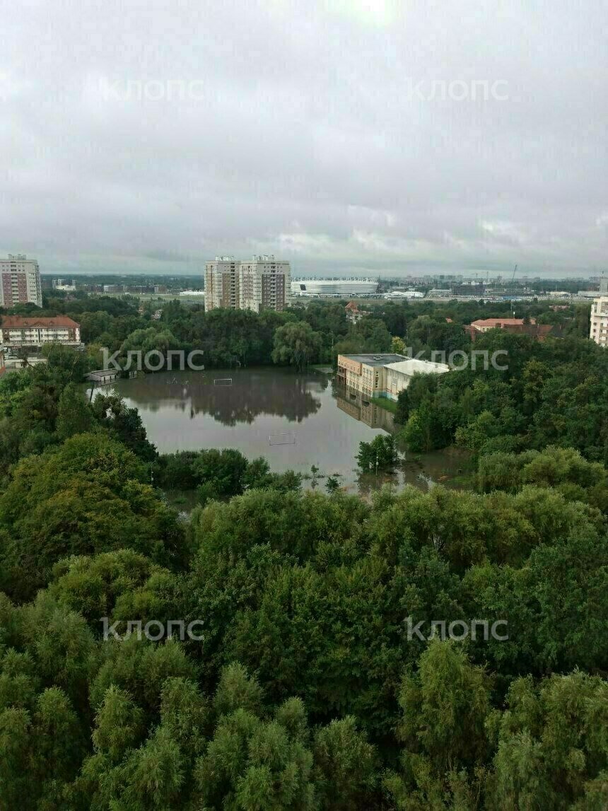 «Зимой на каток пойдём»: в Калининграде вновь затопило стадион напротив Ялтинского пруда (фото) - Новости Калининграда | Фото очевидца