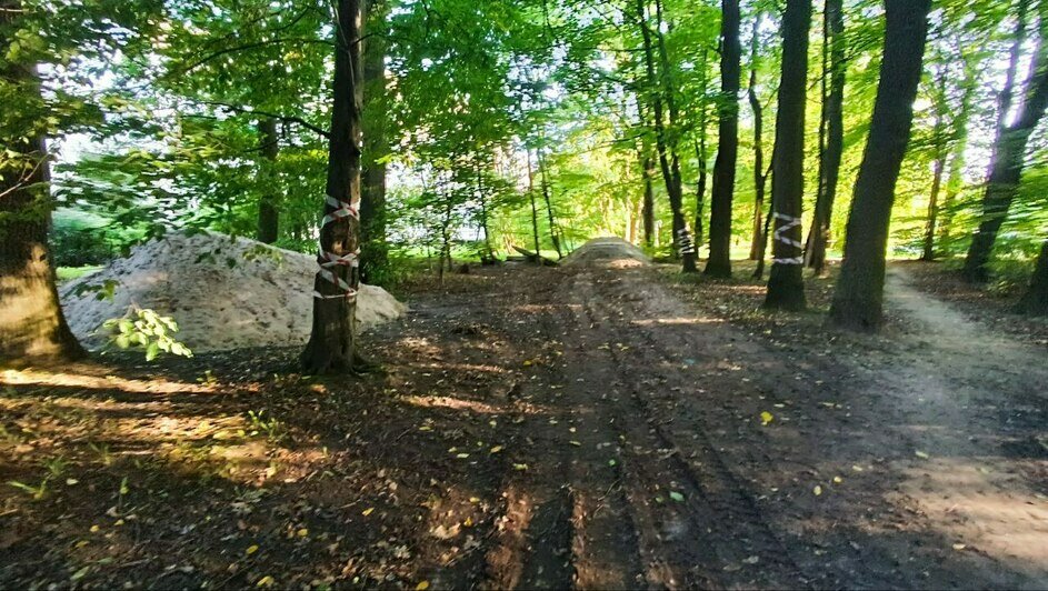 Калининградские власти отчитались о благоустройстве сквера на Земельной (фото) - Новости Калининграда | Фото: пресс-служба администрации Калининграда