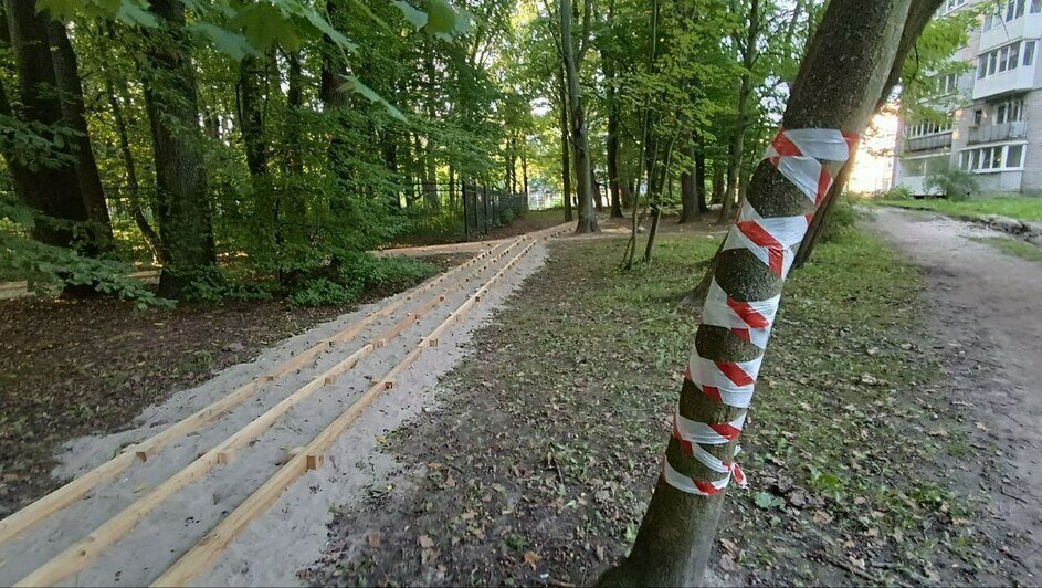 Калининградские власти отчитались о благоустройстве сквера на Земельной (фото) - Новости Калининграда | Фото: пресс-служба администрации Калининграда