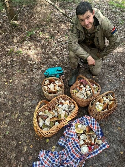 «Все в лес, друзья»: Антон Алиханов набрал полные лукошки грибов в Краснознаменском районе (фото)  - Новости Калининграда | Фото: страница «ВКонтакте» Антона Алиханова