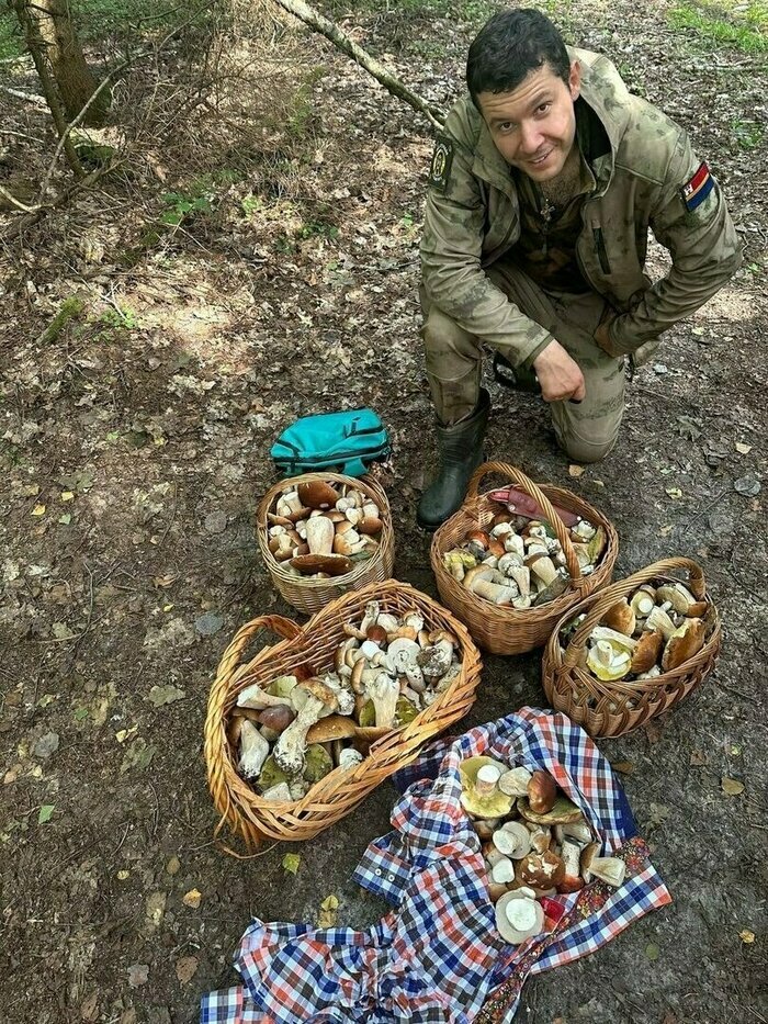 Землетрясение в Марокко, алихановские грибы и сбитый олень: 9 событий, которые вы могли пропустить в выходные - Новости Калининграда | Фото: страница «ВКонтакте» Антона Алиханова