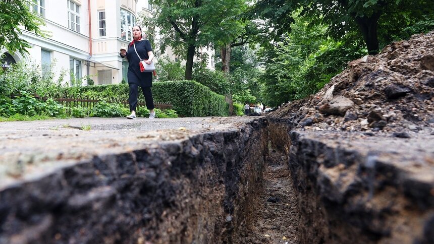 Погибшие во время ремонта ул. Красной в Калининграде деревья заменят 12-летними саженцами - Новости Калининграда | Фото: Александр Подгорчук / Архив «Клопс»