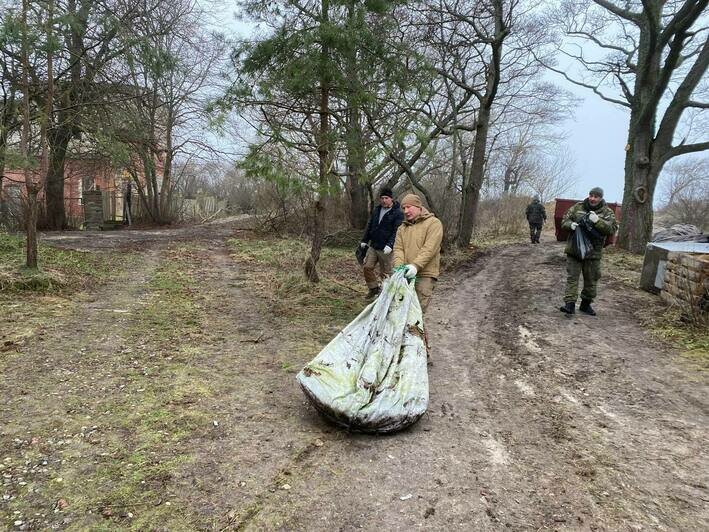 В Лесном на Куршской косе убрали шины, которые десятилетиями лежали на пляже для защиты от штормов (фото) - Новости Калининграда | Фото: пресс-служба нацпарка «Куршская коса»