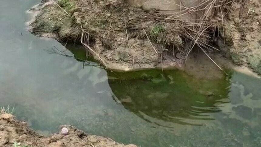 Под Зеленоградском в реку попадают сточные воды из неисправного колодца — Росприроднадзор - Новости Калининграда | Фото: Северо-Западное управление Росприроднадзора