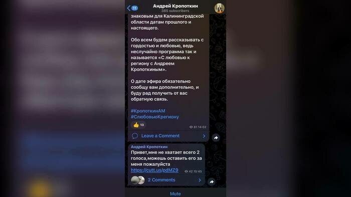 Неизвестные взломали Telegram-аккаунты калининградcких политиков и бизнесменов    - Новости Калининграда | Скриншот Telegram-канала Андрея Кропоткина