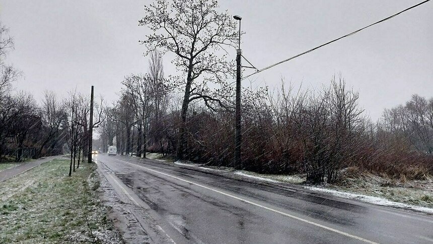 На Емельянова сняли остатки троллейбусных проводов (фото) - Новости Калининграда | Фото: Михаил Лаврускайтис