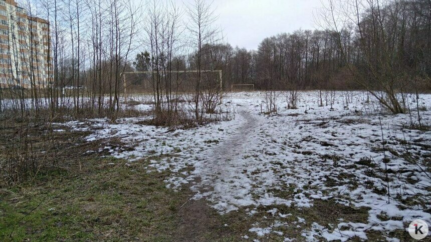 В Космодемьянском на месте заброшенного стадиона планируют построить школу (схема) - Новости Калининграда | Фото: «Клопс»