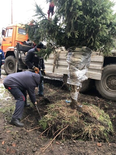 Снести дом, пересадить дерево: что должны сделать власти, чтобы построить мост через Преголю (фото) - Новости Калининграда