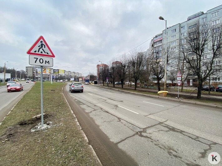 Тротуар из дерева и узкая дорога: на Буткова поменялась схема движения (фото)   - Новости Калининграда | Фото: Александр Подгорчук / «Клопс»