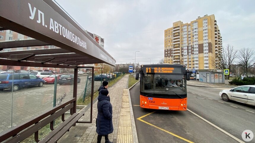 Фото дня: в Калининграде автобус №11 пошёл по новому маршруту - Новости Калининграда | Фото: Александр Подгорчук / «Клопс»