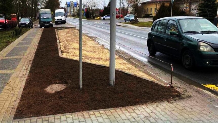 В Зеленоградске пассажирам автобуса приходится перепрыгивать клумбу, чтобы попасть на тротуар - Новости Калининграда | Фото: пресс-служба администрации Зеленоградского городского округа